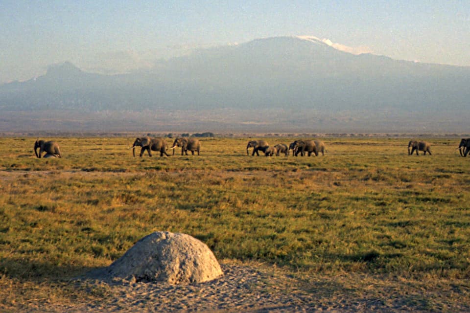 Elephant Footsteps Safari — Amboseli, Tsavo West, Taita Hills