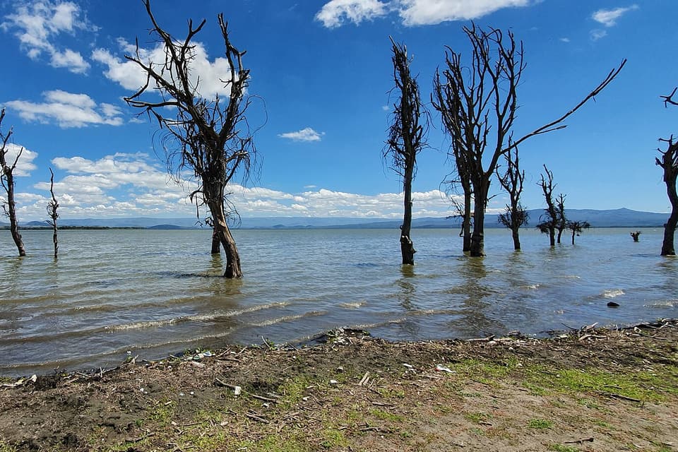 Karibu Kenya — Maasai Mara, Lake Naivasha