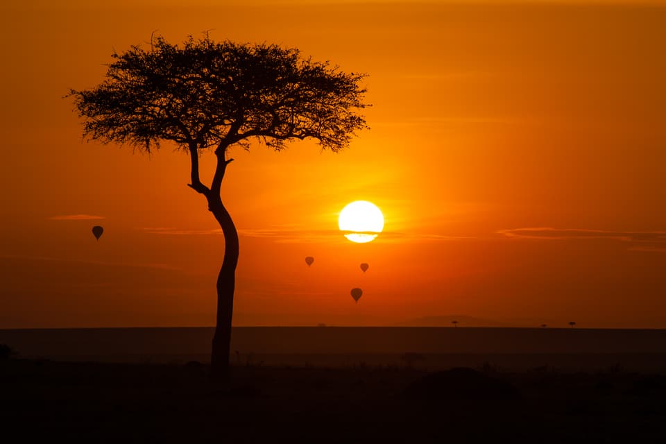Taste of Kenya — Maasai Mara, Lake Nakuru