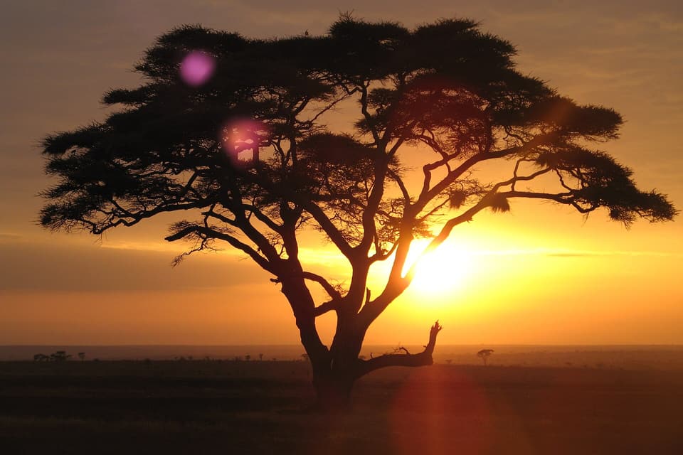 Classic Tanzania Safari — Serengeti, Ngorongoro, Tarangire, Lake Manyara
